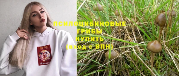 прущие грибы Армянск