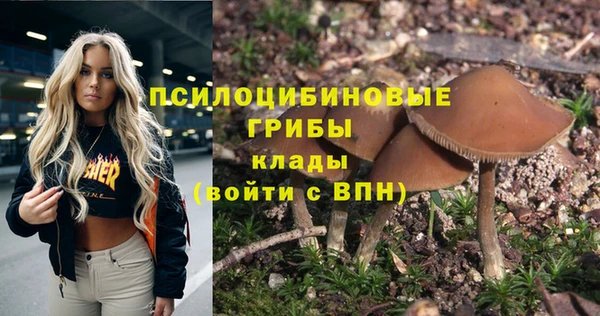 шишки Балахна