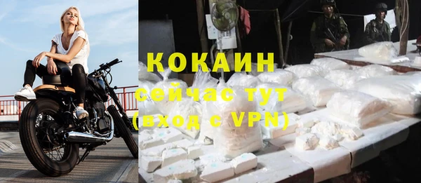шишки Балахна