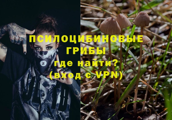 шишки Балахна