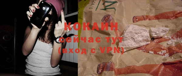 шишки Балахна